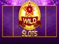 Гаме Divlji Slot онлајн