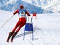 Гаме Симулатор скијања слалом онлајн