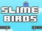 Гаме Slime Ptice онлајн