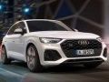 Гаме Audi SQ5 TDI Klizanje онлајн