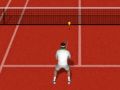 Гаме Stvarni Tenis онлајн