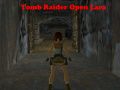 Гаме Tomb Raider: Otvorena Lara онлајн