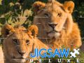 Гаме Jigsaw Deluxe онлајн