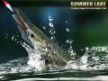 Гаме Letnje Jezero 1.5 онлајн