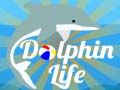 Гаме Život Delfina онлајн Гаме Život Delfina онлајн