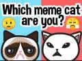 Гаме Koja si meme mačka? онлајн