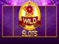 Гаме Divlji Slot онлајн