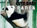 Гаме Slatka beba panda онлајн