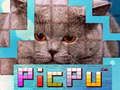 Гаме PicPu Mačka онлајн