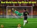 Гаме Pravi Svetski Kup u Fudbalu Flicker 3D 2023 онлајн