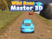 Гаме Divlji trkački majstor 3D онлајн