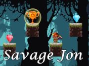 Гаме Divlji Jon онлајн