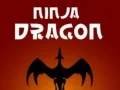 Гаме Нинџа Дракон онлајн Гаме Нинџа Дракон онлајн