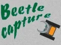 Гаме Hapšenje bube онлајн Гаме Hapšenje bube онлајн