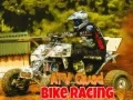 Гаме ATV квад раса онлајн Гаме ATV квад раса онлајн