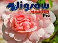 Гаме Majstor Puzli Pro онлајн Гаме Majstor Puzli Pro онлајн