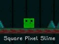 Гаме Kvadratni Pixel Slime онлајн Гаме Kvadratni Pixel Slime онлајн