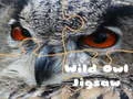 Гаме Divlja sova Puzzl онлајн Гаме Divlja sova Puzzl онлајн