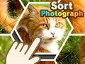 Гаме Sortiraj fotografije онлајн Гаме Sortiraj fotografije онлајн
