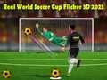 Гаме Pravi Svetski Kup u Fudbalu Flicker 3D 2023 онлајн Гаме Pravi Svetski Kup u Fudbalu Flicker 3D 2023 онлајн