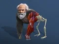 Гаме Pasivna Evolucija: Od Ćelije do Čoveka онлајн Гаме Pasivna Evolucija: Od Ćelije do Čoveka онлајн