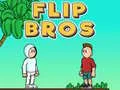 Гаме Flip Braća онлајн Гаме Flip Braća онлајн