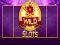 Гаме Divlji Slot онлајн Гаме Divlji Slot онлајн