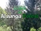 Гаме Povratak u šumu Alsunga онлајн