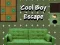 Гаме Beg Cool Dječaka онлајн