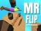 Гаме Gospodin Flip онлајн