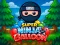 Гаме Super Ninja Balloon онлајн