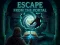 Гаме Escape from the Portal онлајн
