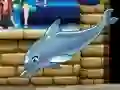 Гаме Moj delfin šou 6 онлајн Гаме Moj delfin šou 6 онлајн