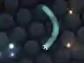 Гаме Slither.io онлајн