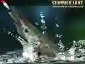 Гаме Letnje Jezero онлајн