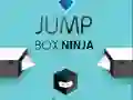 Гаме Ninja Skakačka Kutija онлајн