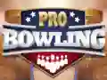 Гаме Profesionalni bowling онлајн Гаме Profesionalni bowling онлајн