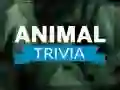 Гаме Životinjska Trivia онлајн Гаме Životinjska Trivia онлајн