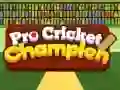 Гаме Pro Kriket Šampion онлајн