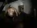 Гаме Tih Azil онлајн Гаме Tih Azil онлајн