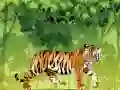 Гаме Ljut Tigrova Obojanka онлајн