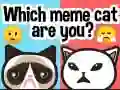 Гаме Koja si meme mačka? онлајн Гаме Koja si meme mačka? онлајн