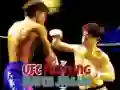 Гаме UFC Borba Utakmica Jigsaw онлајн