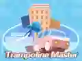 Гаме Majstor Trampolina онлајн Гаме Majstor Trampolina онлајн