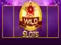 Гаме Divlji Slot онлајн Гаме Divlji Slot онлајн