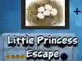 Гаме Bežanje male princeze онлајн Гаме Bežanje male princeze онлајн