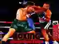 Гаме Boks šampioni borba онлајн Гаме Boks šampioni borba онлајн