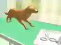 Гаме Nega šapa онлајн
