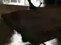 Гаме Дрифт Z онлајн Гаме Дрифт Z онлајн