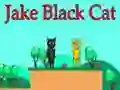 Гаме Jake Crna Mačka онлајн Гаме Jake Crna Mačka онлајн